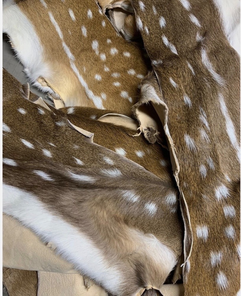 Axis Deer Scraps By The Pound
