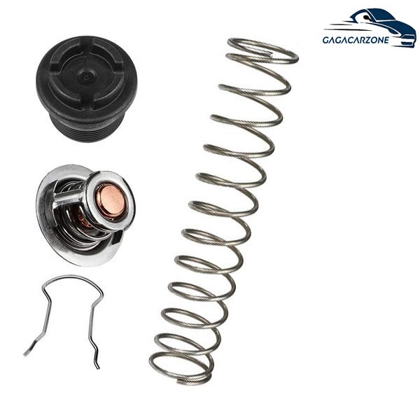 77707-0010 Thermal Regulator Kit Fit For Pentair and Sta-Rite Pool Spa Heaters