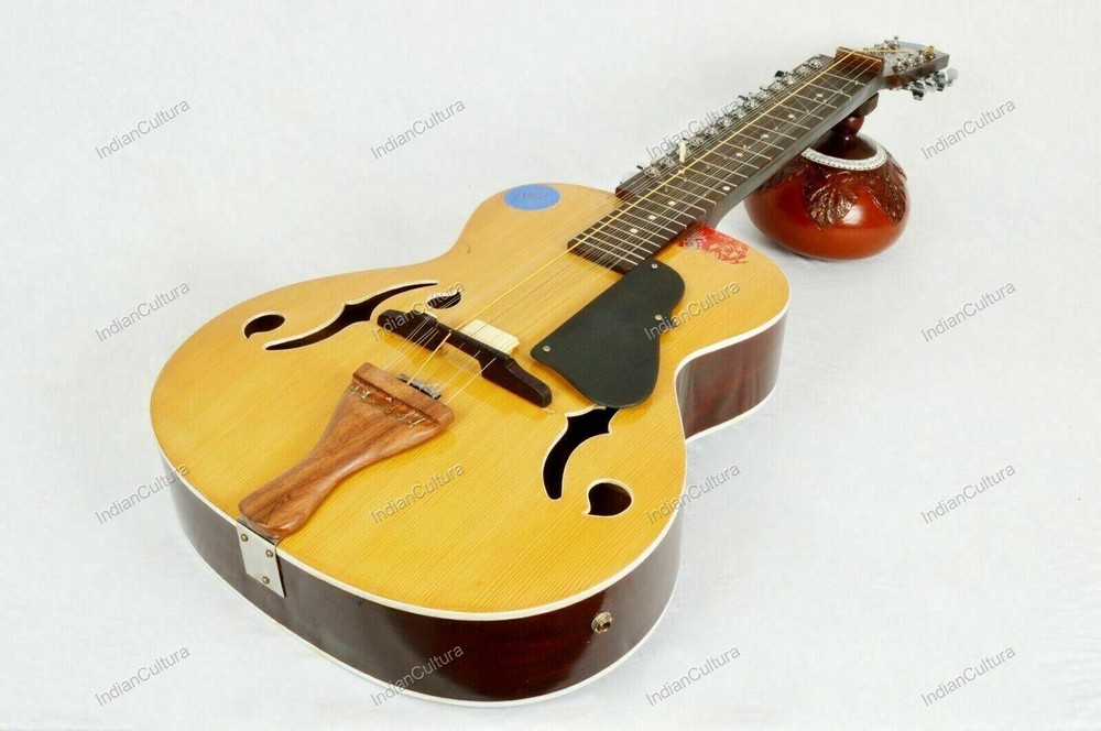 CUSTOM MOHAN VEENA GREAT SIDE WEISSENBORN STYLE MAX STRING PRESSURE