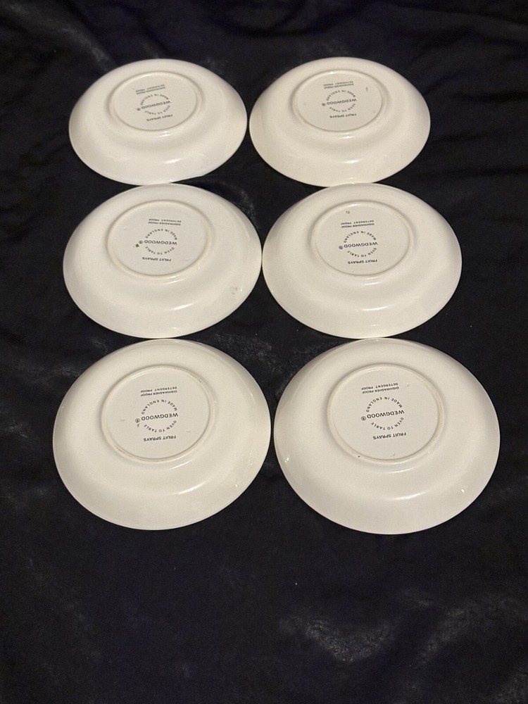 Fruit Sprays sterling (coup shape) pattern by Wedgewood. Setting for 6