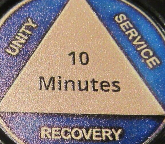 10 MINUTES Alcoholics Anonymous AA Plastic Medallion Token Poker Chips Coin