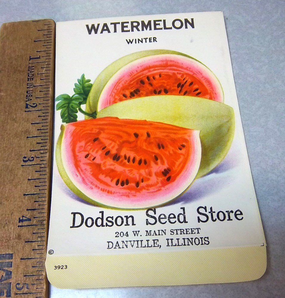 Vintage EMPTY seed pack, winter WATERMELON amazing graphics, 1930s dodson seed