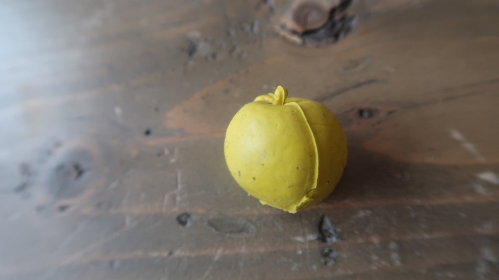 Vintage Diener Eraser