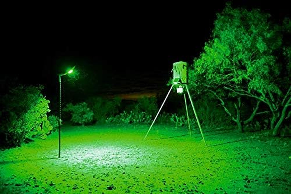 Kill Light Outfitter Motion Activated Feeder Light with Remote Control