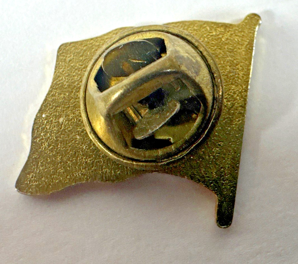 5 USA Flag Pins
