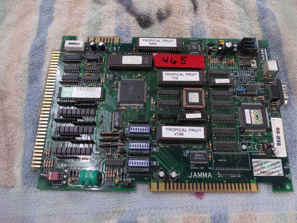 Tropical Fruit by IGS