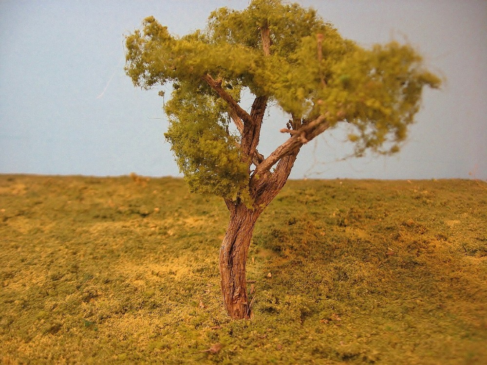 sage brush model trees