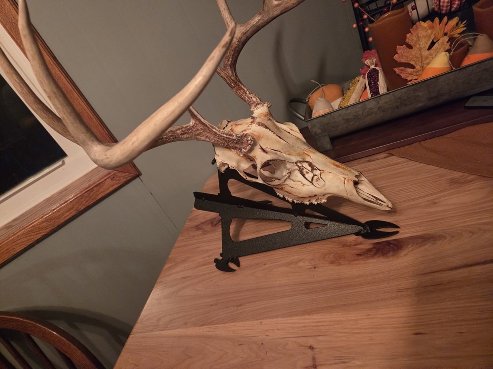 Table Top Deer Skull Hanger