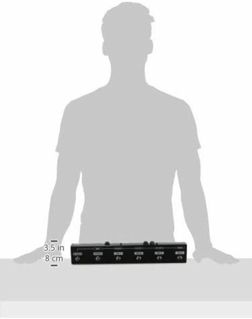 Roland Guitar Amp Foot Controller