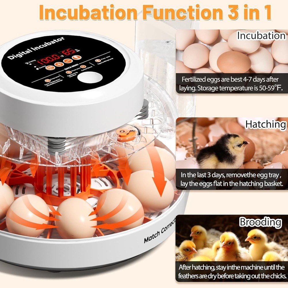 12 Egg Incubator for Hatching Eggs with Automatic Egg Turning, Temperature & ...