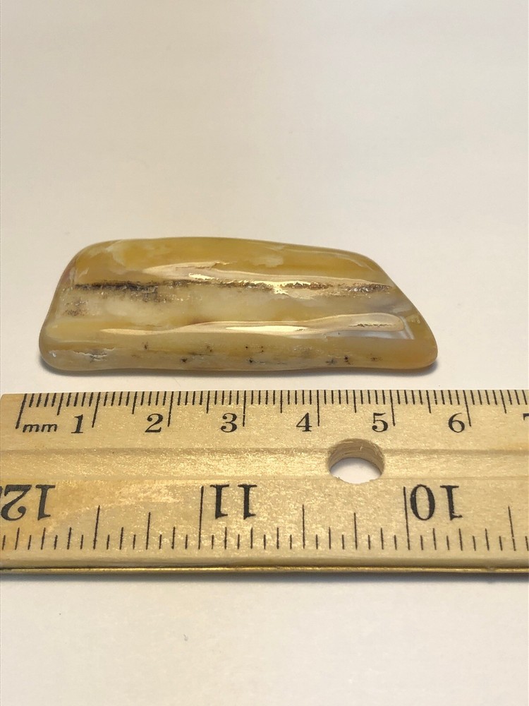 Yellow Petrified Wood. 18g