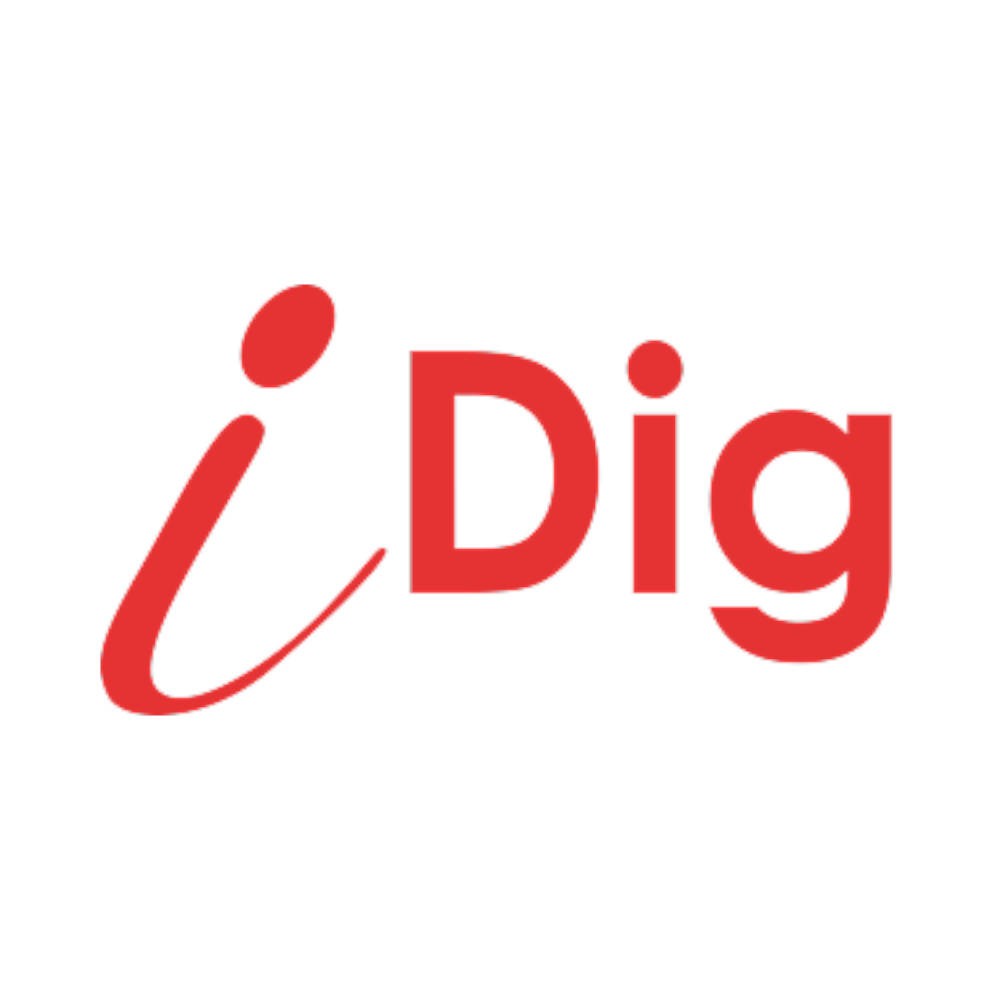 XD411 Combo (Angle/Laser) Sensor iDig