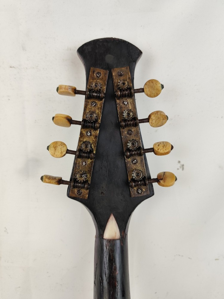 Mandolin 4/4 Luigi Ricci e Son 1885 Naples 曼陀林 만돌린マンドリン