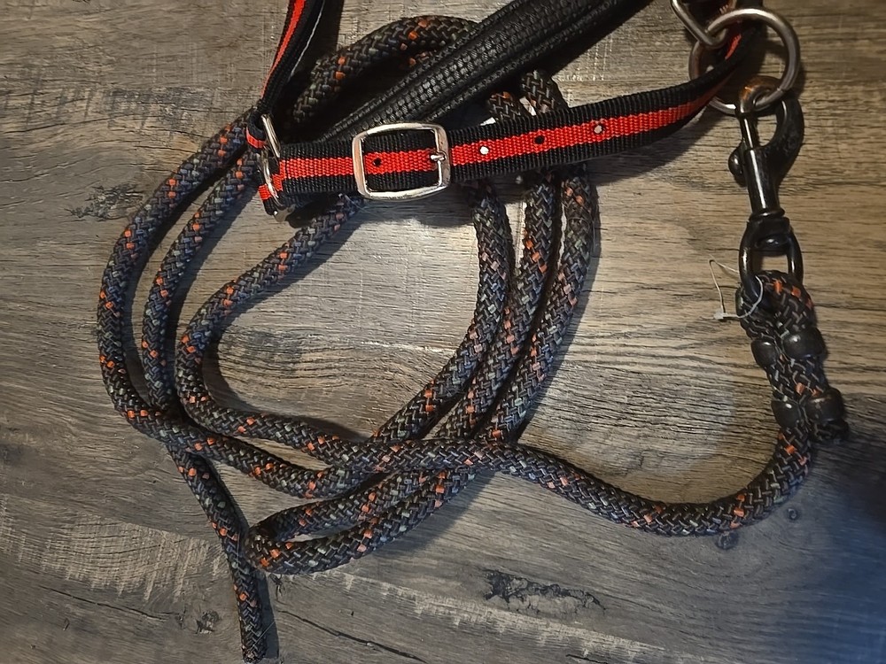 Horse Halter And Lead