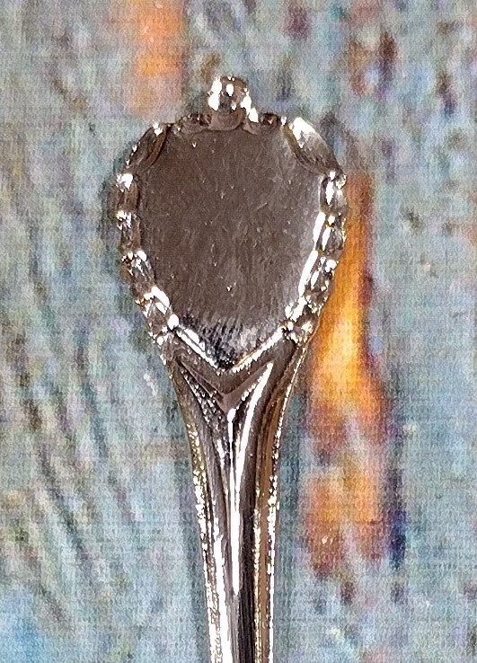 Star Princess Souvenir Spoon