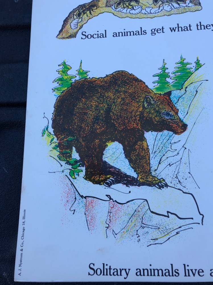 VINTAGE A.J. Nystrom Elementary science chart environment & animals 24 x 18.5