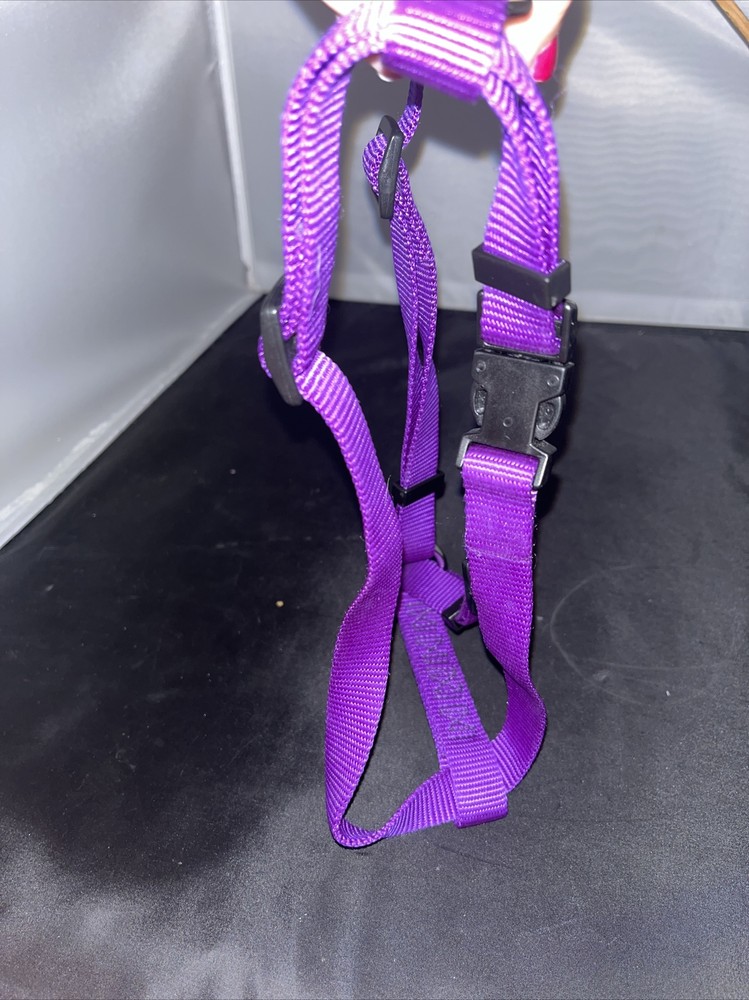 Purple Medium Harness
