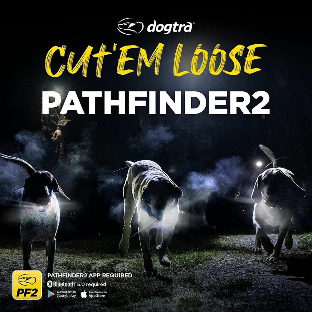 Dogtra PATHFINDER2 GPS Dog Tracking, Training, E-Fence & LED Beacon Light Collar