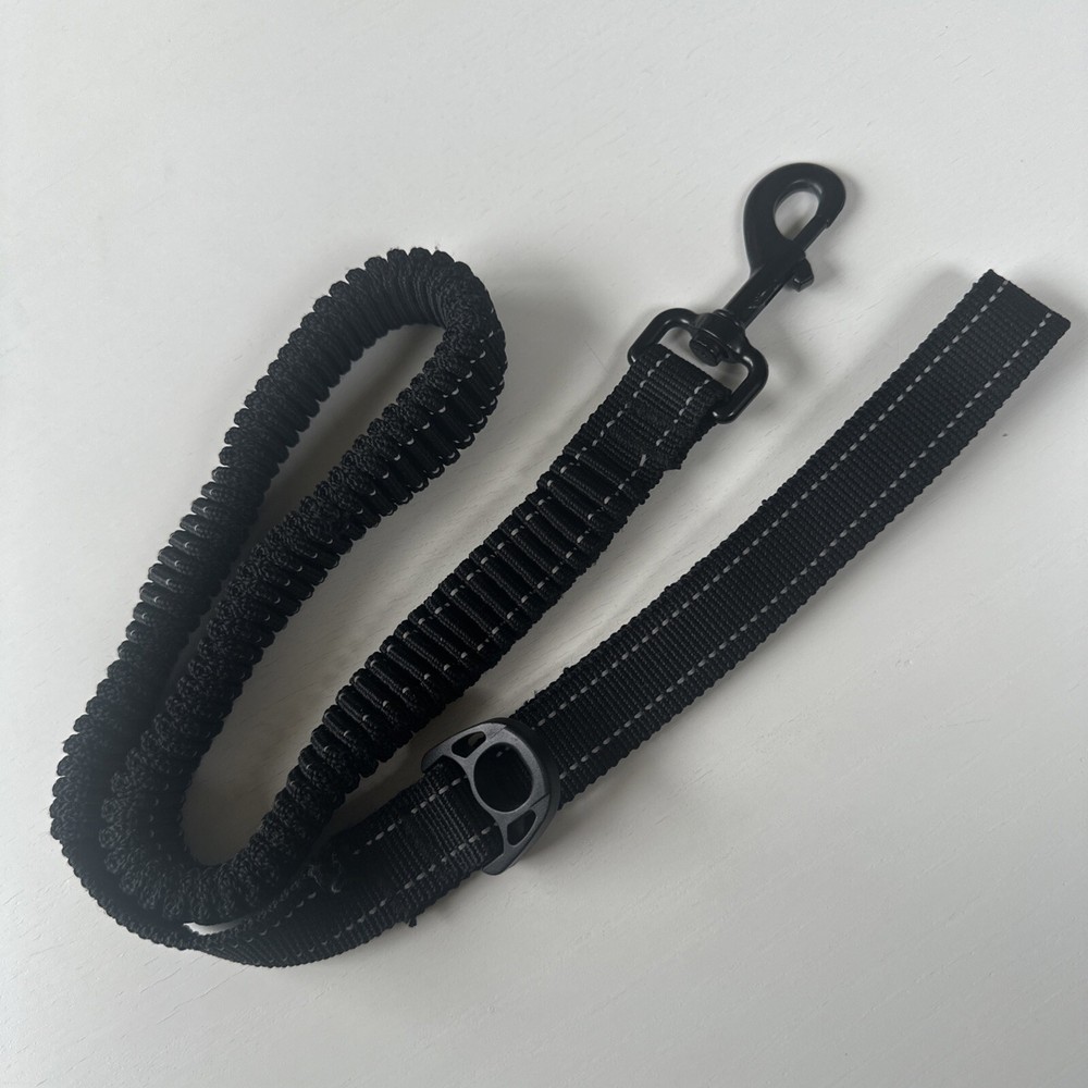 Dog Training Elastic Leash (before Sketch 36”)