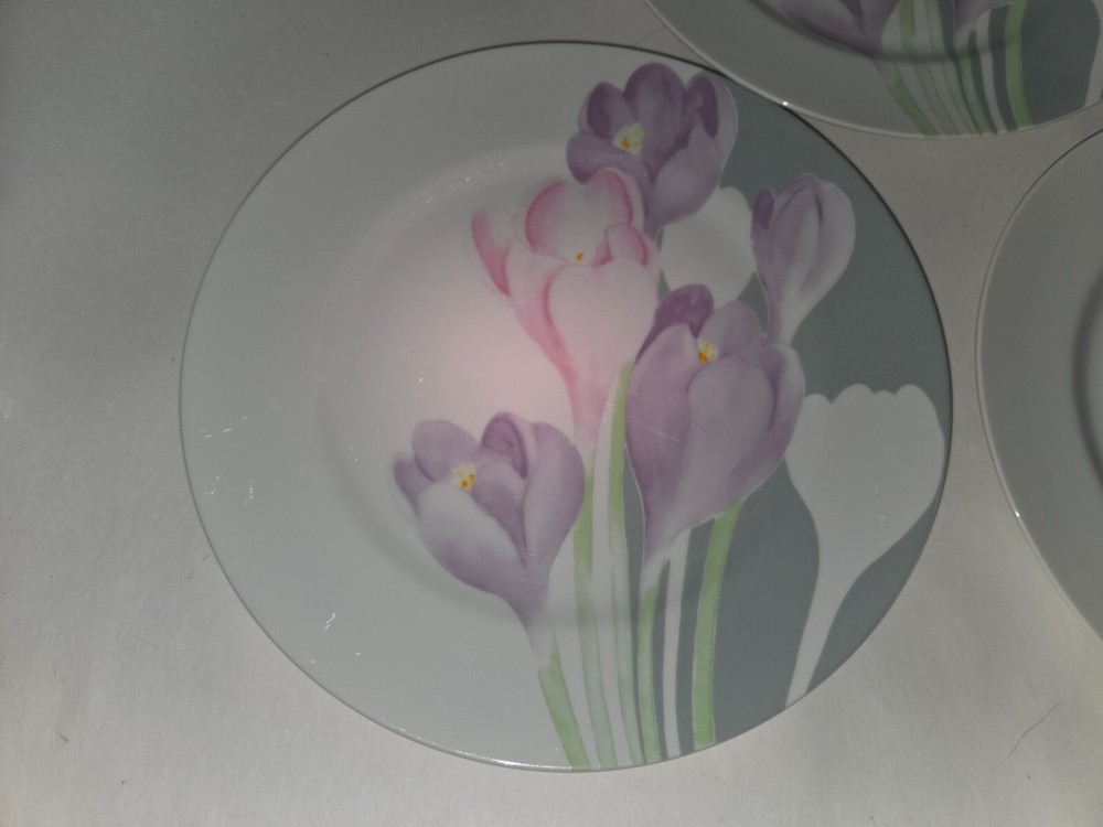 Set of4 Mikasa Spring Crocus Dinner Plates LAB02 10 5/8"