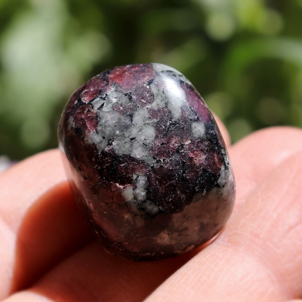 Polished Eudialyte, Fluorescent Mineral (EUD21)