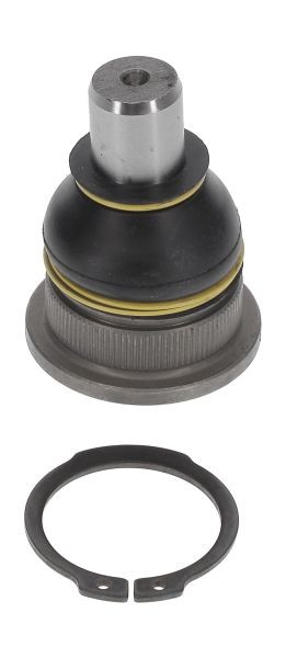 Control Arm Pin Front Left (Left) - Right