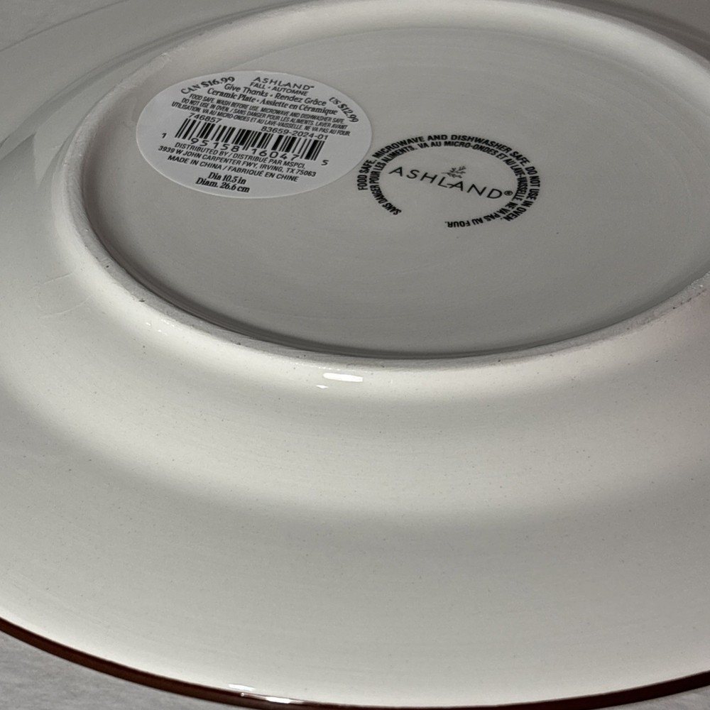 Fall Autumn Brown Gingham Ceramic Plate 10.5” Diameter New
