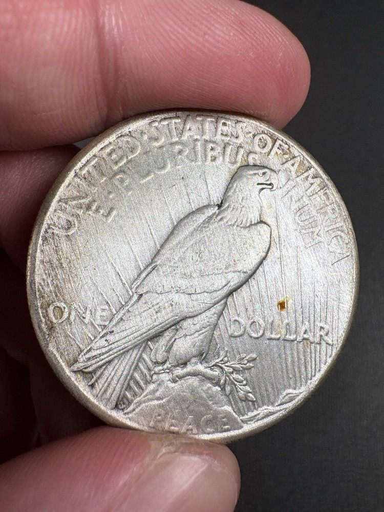 1928 Peace Silver Dollar Harshly Cleaned