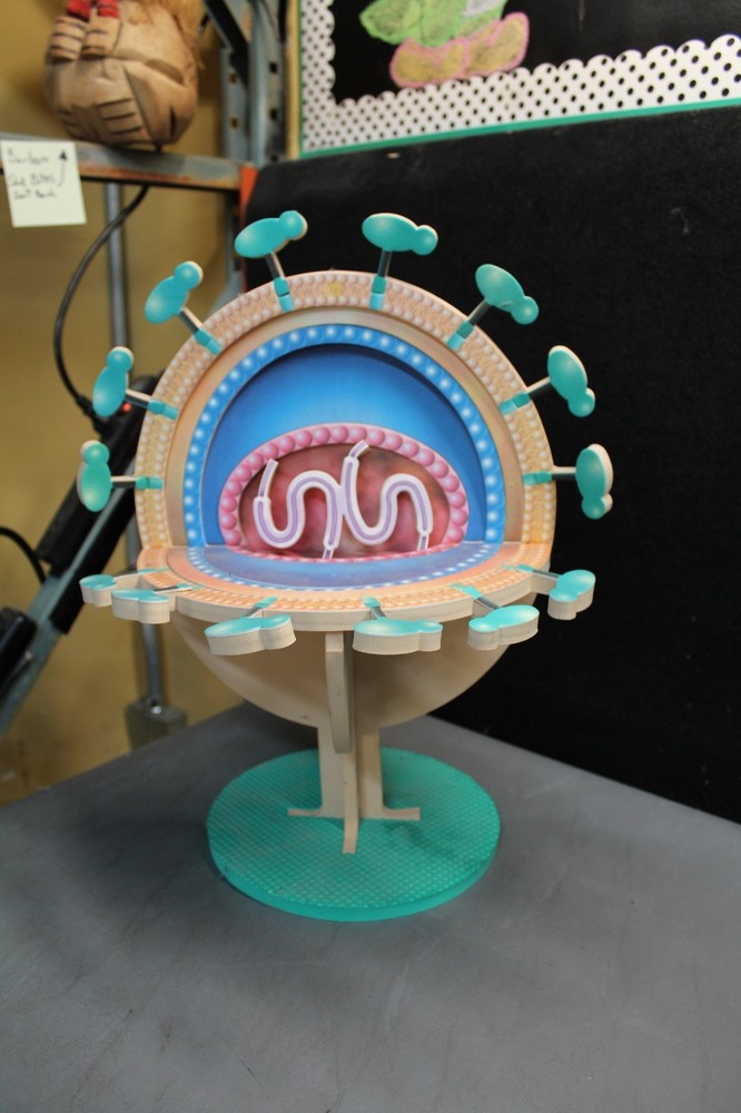 Vintage Foam Virus Education model