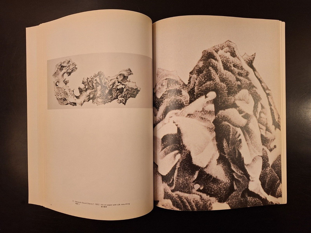 Liu Dan Alternative Visions 1993