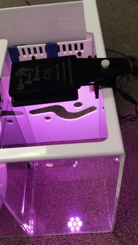 Refugium light CHAETO C7s Refug LED Light Black