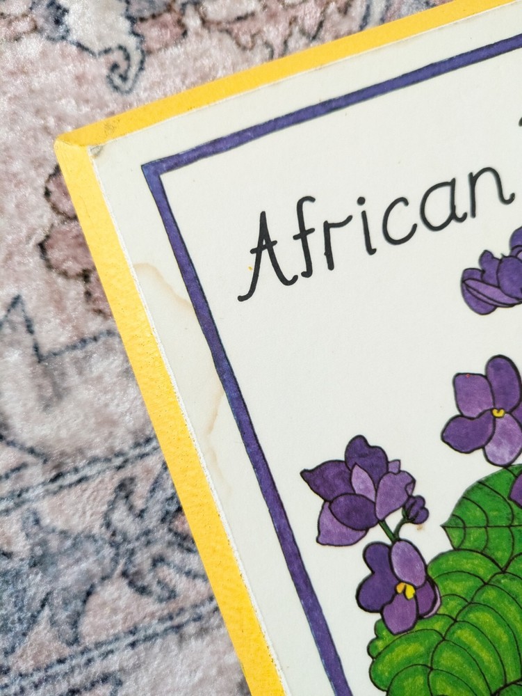 Vintage 1970 Marlene African Violet Illustration Word Artwork