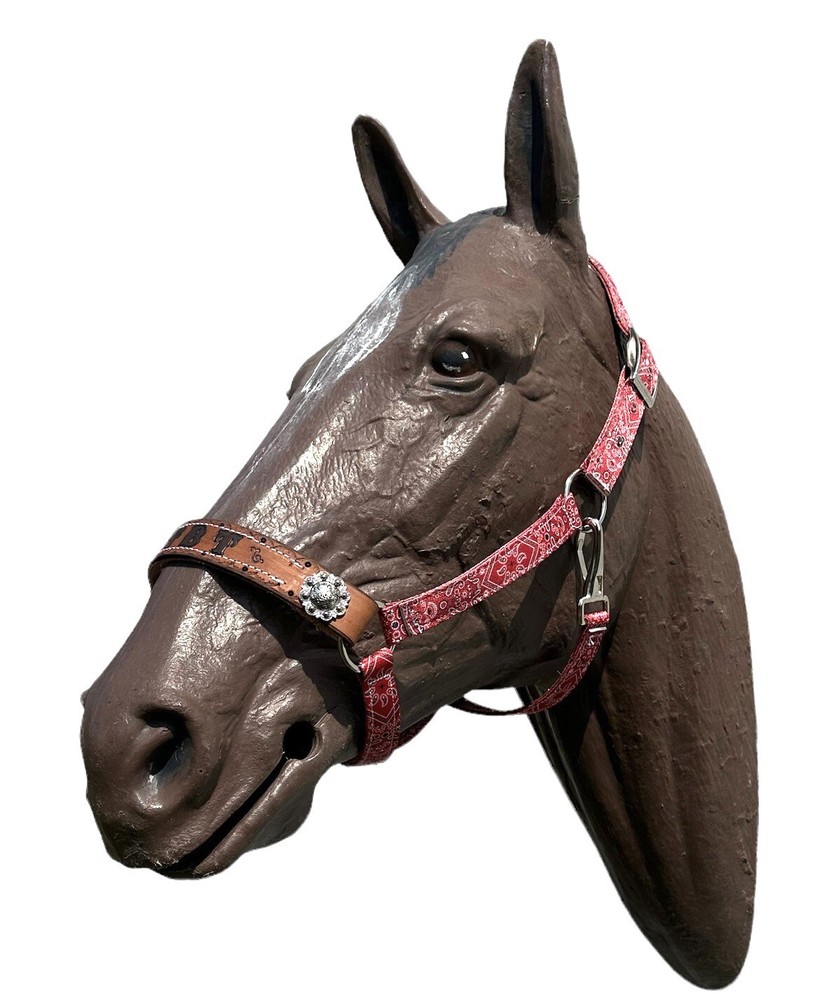Personalized Nylon Horse Halter