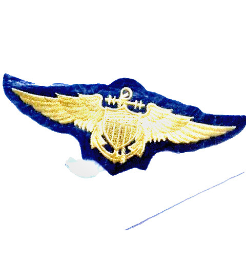 Navy Wings Patch (EDMO)