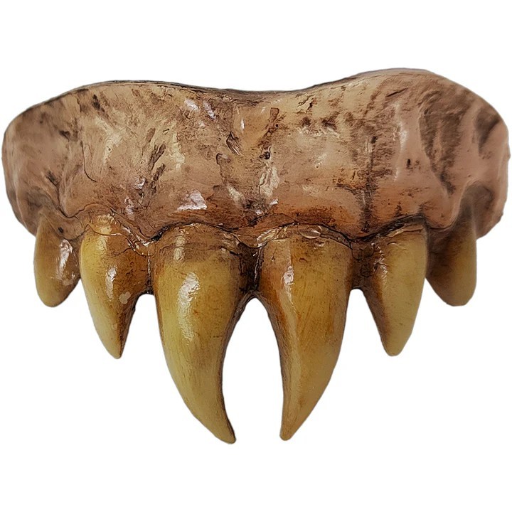 Bitemares Horror Teeth Vampire Master