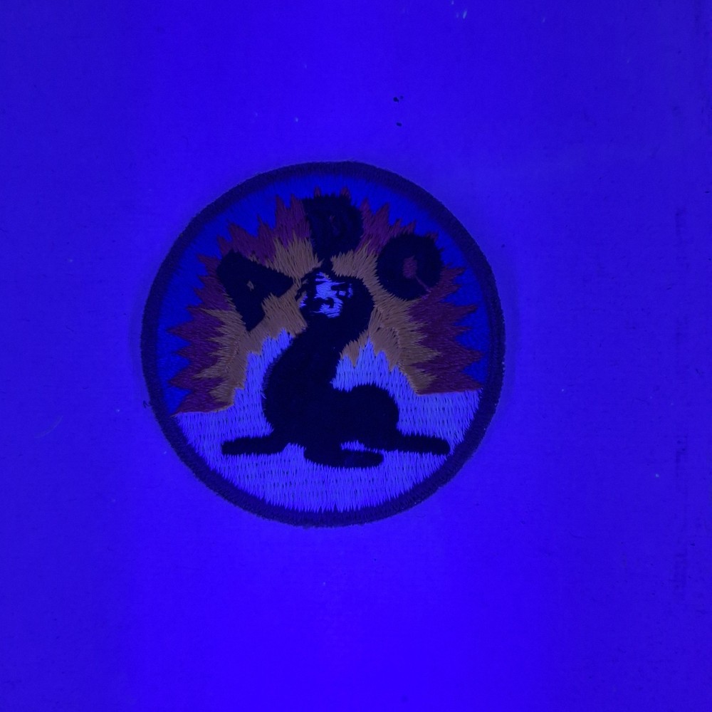 US Army WW2 Alaska Defense Command 2 1/2" Patch