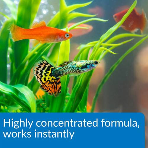 API Pond Aqua Essential Water Conditioner 1 Gal. 424C