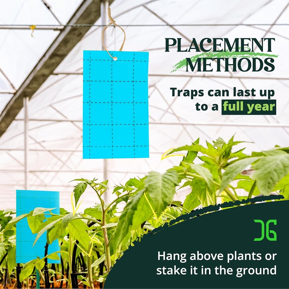 Catchmaster GRO Blue Regular Double Sided Sticky Traps