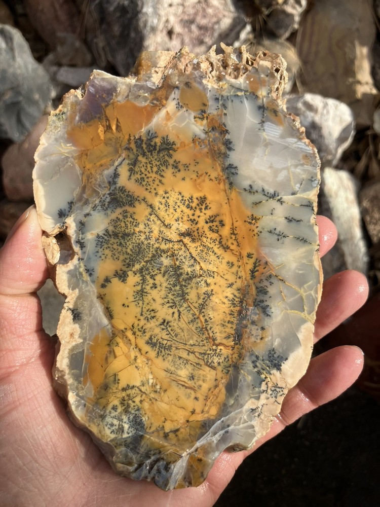 Dendritic Jasper Slab