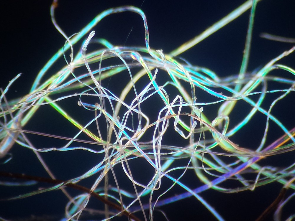 Microscope 32 mm Polarizing Filter Set - Affordable Must Have Accessory Set!