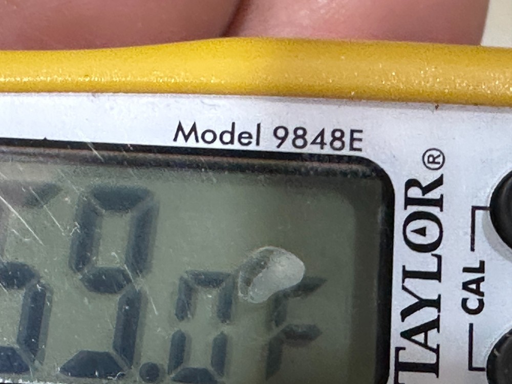 Taylor 9848E Digital Thermometer