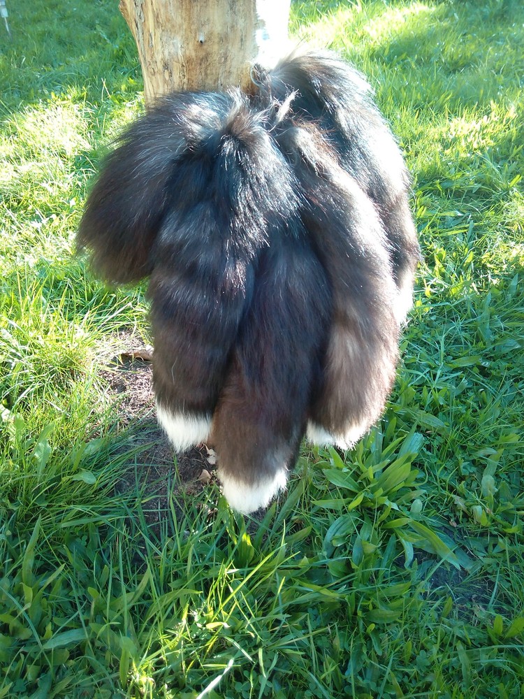 Foxtail Fox Tail Tail Fox Tail Fox Rod Silver Fox Pendant