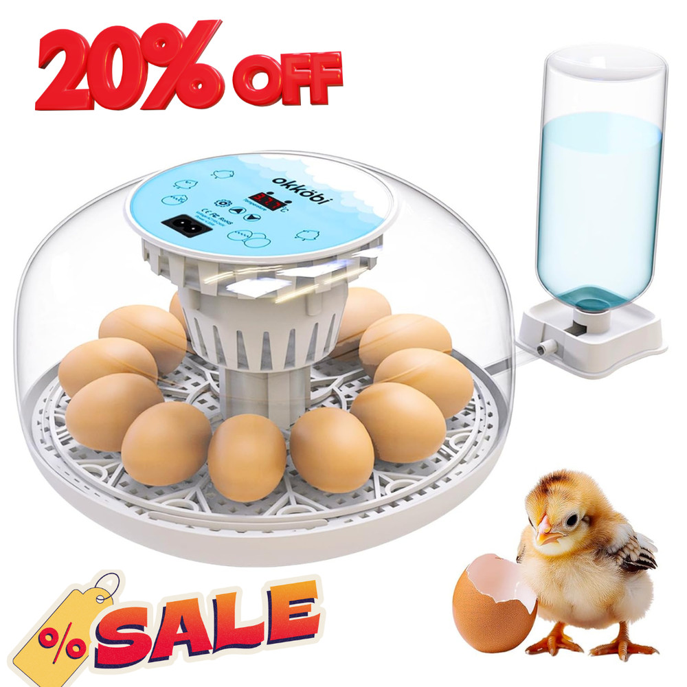 Egg Incubator with Automatic Egg Turning and Humidity Control - 12 Eggs