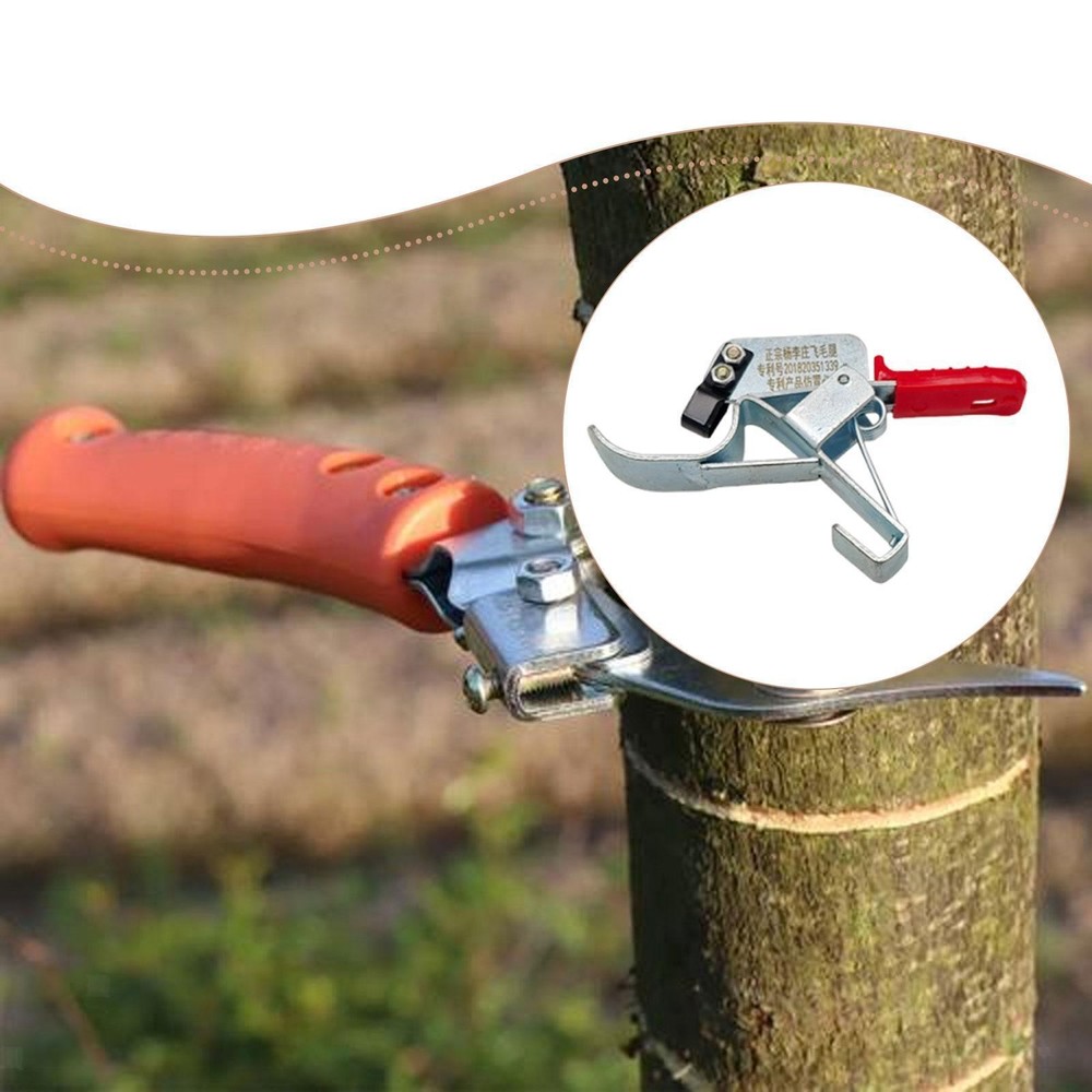 Fruit Tree Bark Stripping Tool: Robust, Essential, Efficient, Practical,