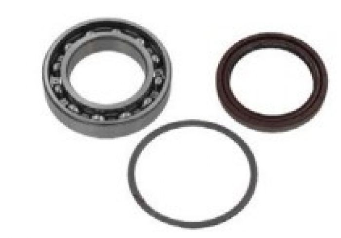 SPI Chaincase Bearing Kit - SM-03212
