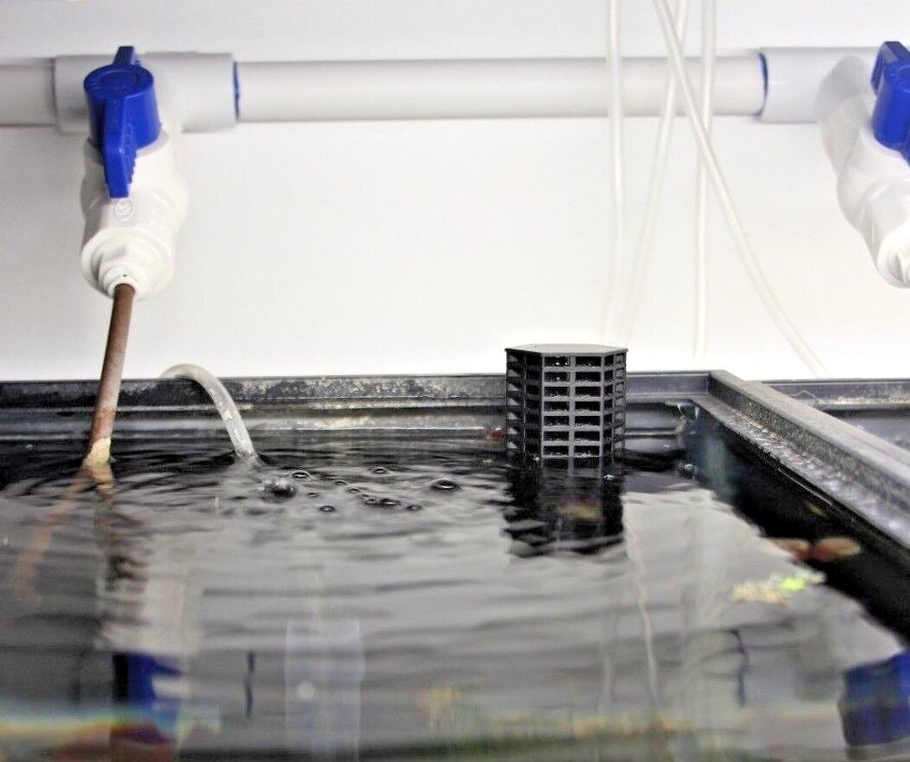 Bulkhead Screen Fitting for Aquariums and Hydroponics