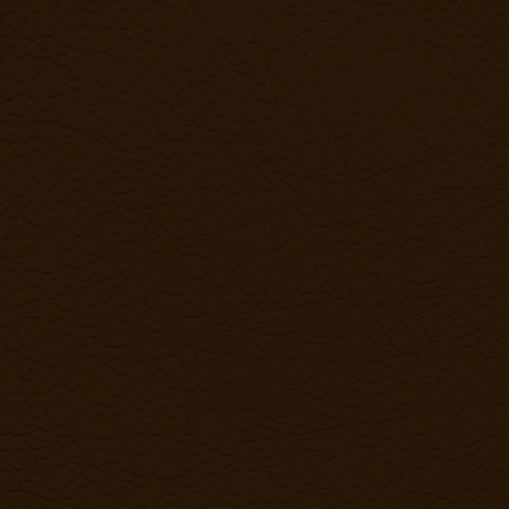 Audi Dark Nougat Leather Dye