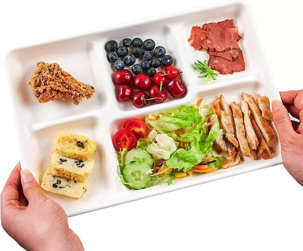 100 pcs Compartment Disposable Plates 100% Compostable and Biodegradable Party