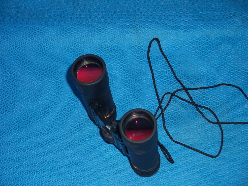 Celestron 10x25 Ruby Coated Compact Binoculars with Case