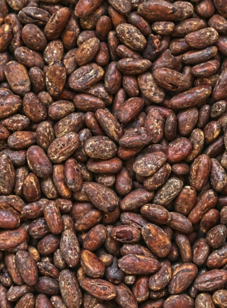 raw whole cocoa seed-1lb. 100% natural